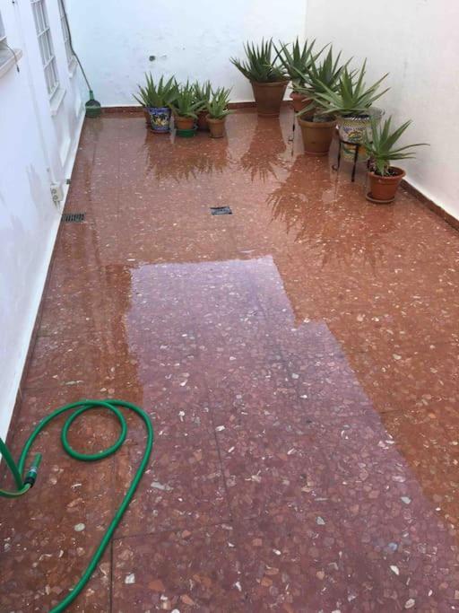 Casa Soleada En Calle Tranquila Sevilla Eksteriør billede