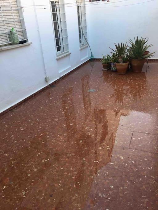 Casa Soleada En Calle Tranquila Sevilla Eksteriør billede