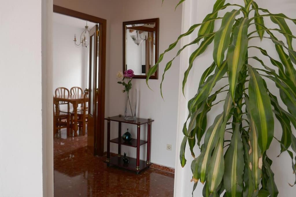 Casa Soleada En Calle Tranquila Sevilla Eksteriør billede