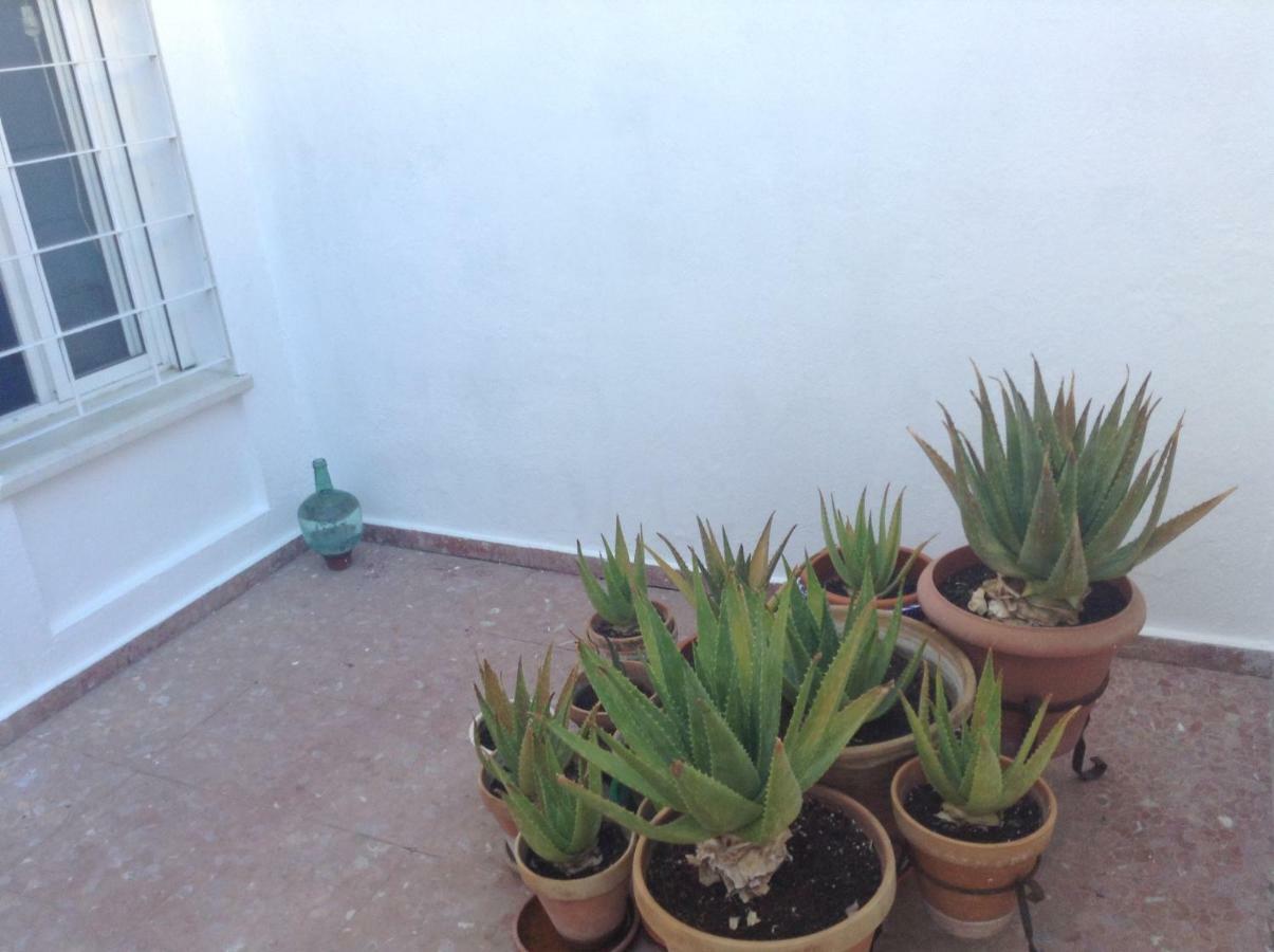 Casa Soleada En Calle Tranquila Sevilla Eksteriør billede